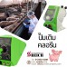 บำบัดน้ำเสียในฟาร์มสุกร เพื่อลดผลกระทบต่อชุมชน